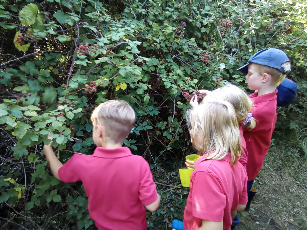 Year 3&#8217;s First Week!, Copthill School