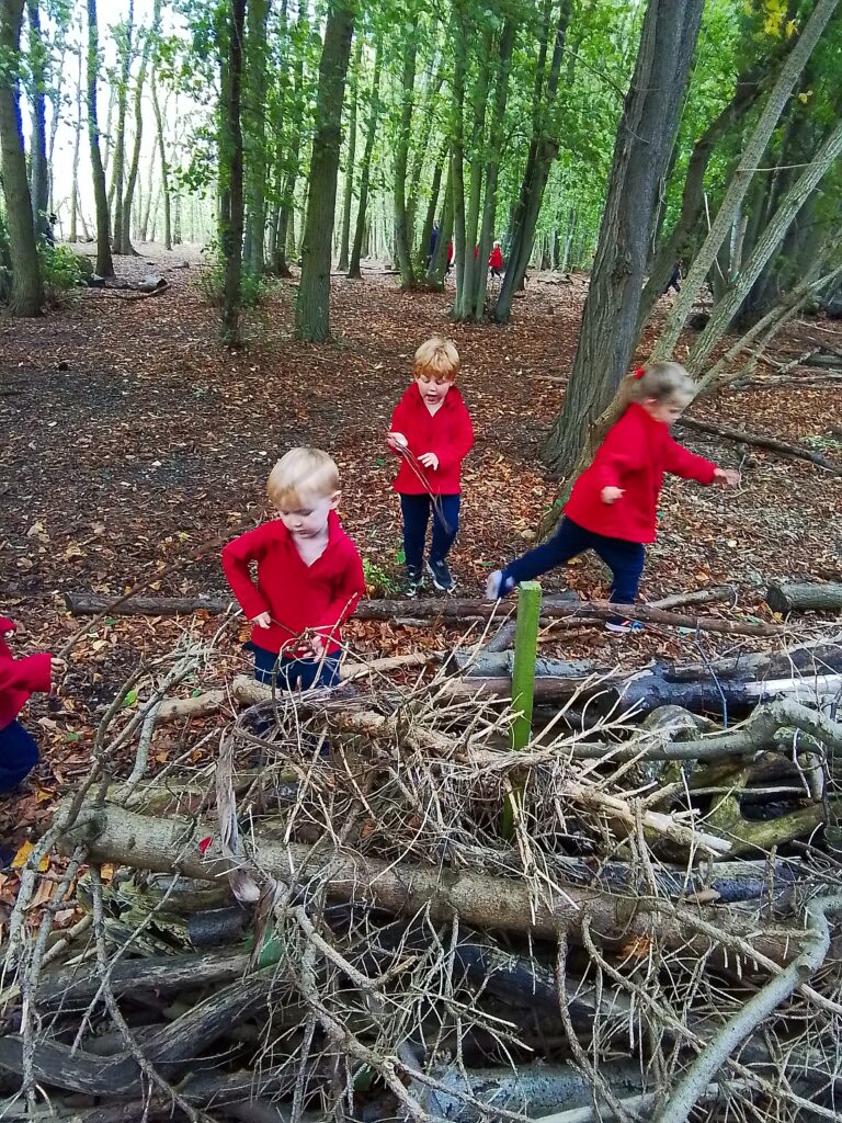 Woodland Adventures!, Copthill School