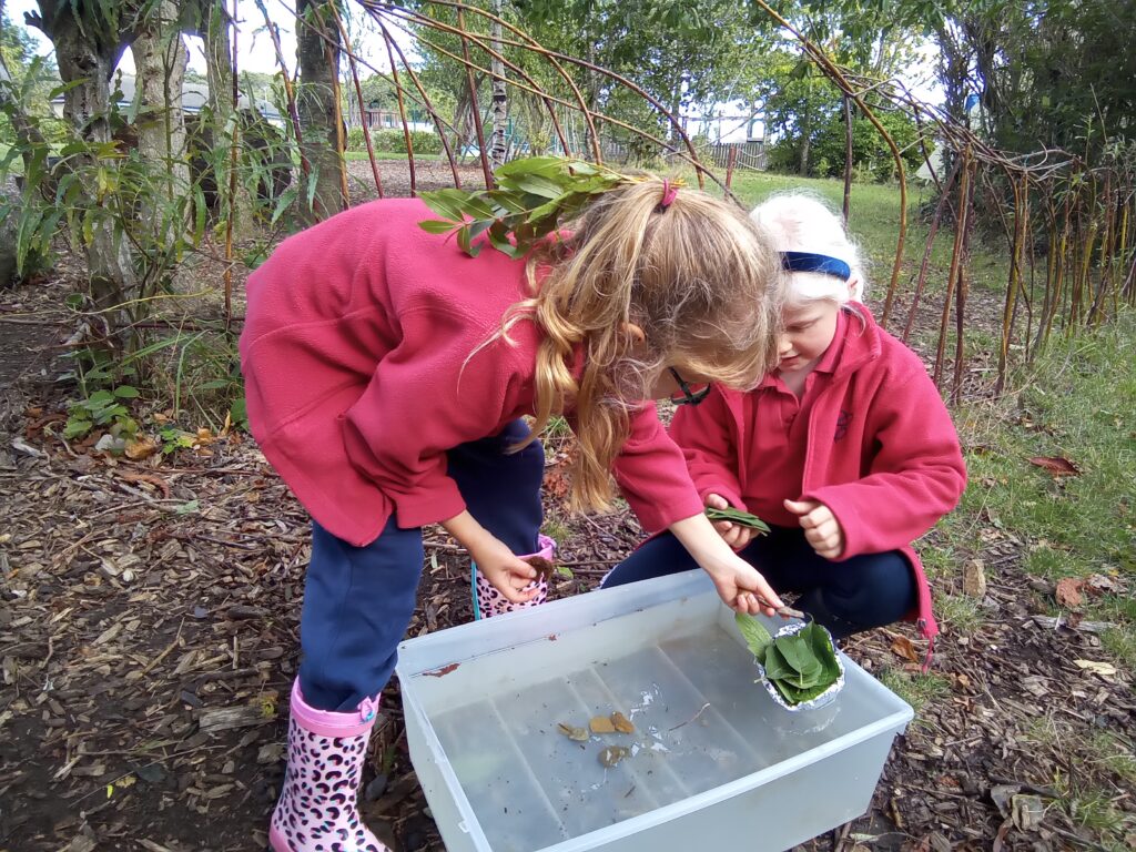 Year 3, Week 3, Copthill School