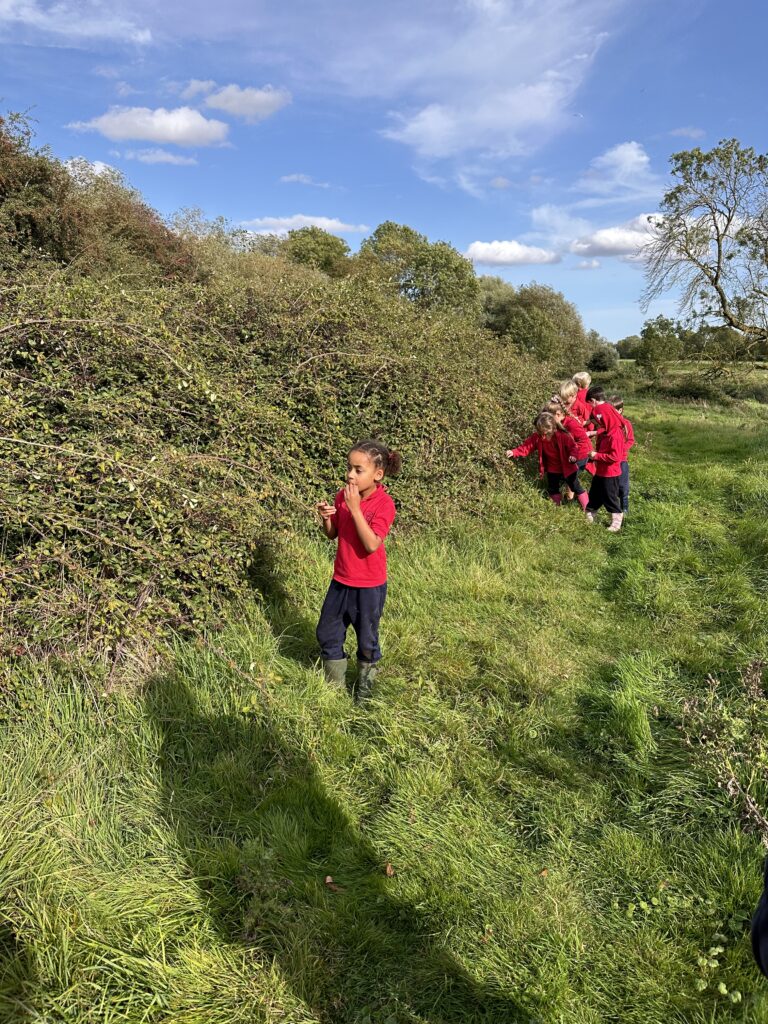 Wonderful Wildflowers!, Copthill School