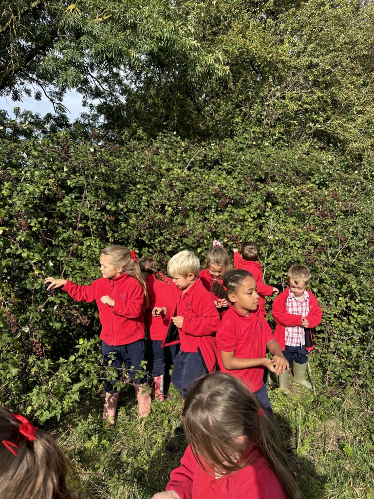 Wonderful Wildflowers!, Copthill School