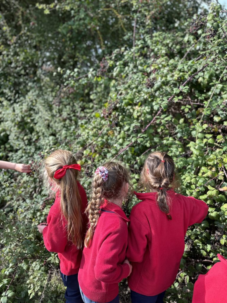 Wonderful Wildflowers!, Copthill School