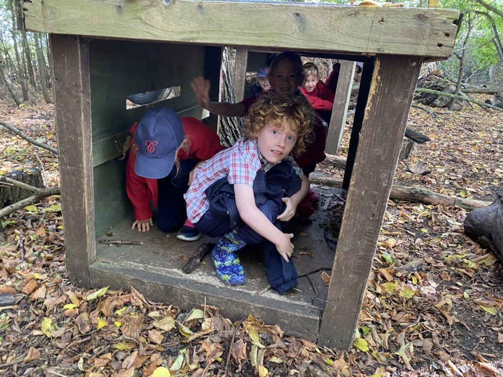 Pirate portraits and port holes, Copthill School