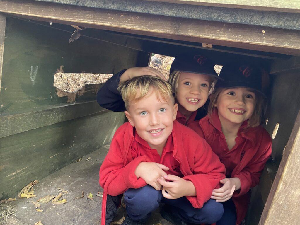 Pirate portraits and port holes, Copthill School