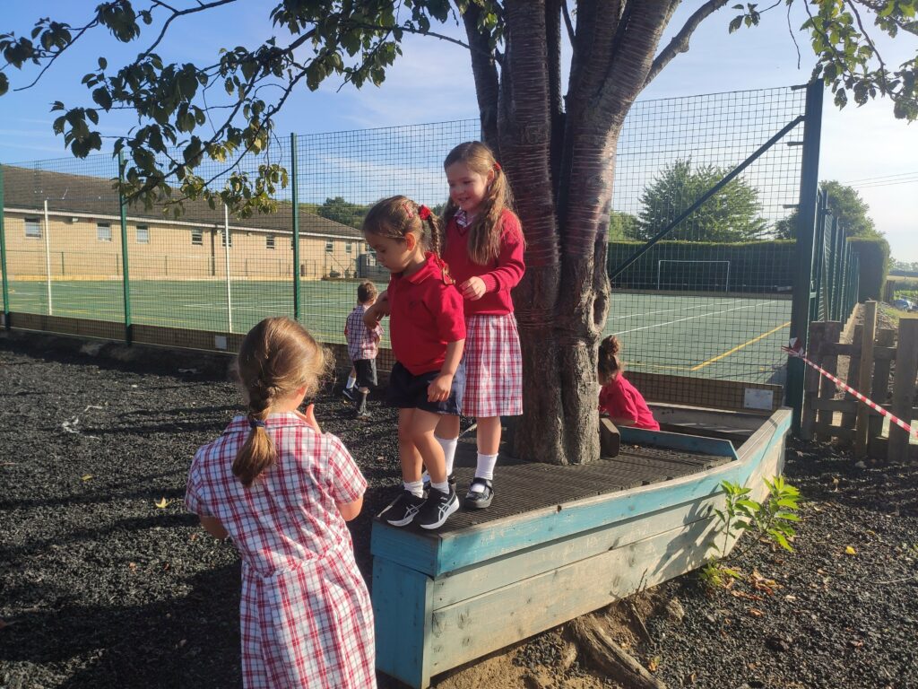 Year 3 &#8211; Week 2!, Copthill School