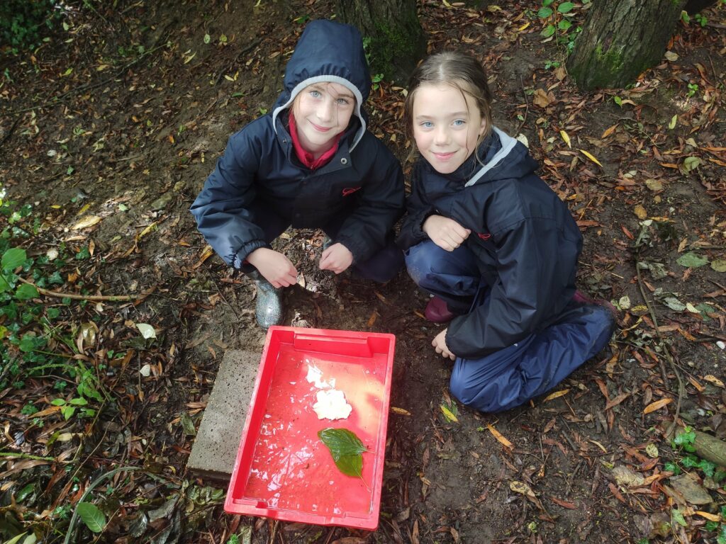 Year 3, Week 3, Copthill School