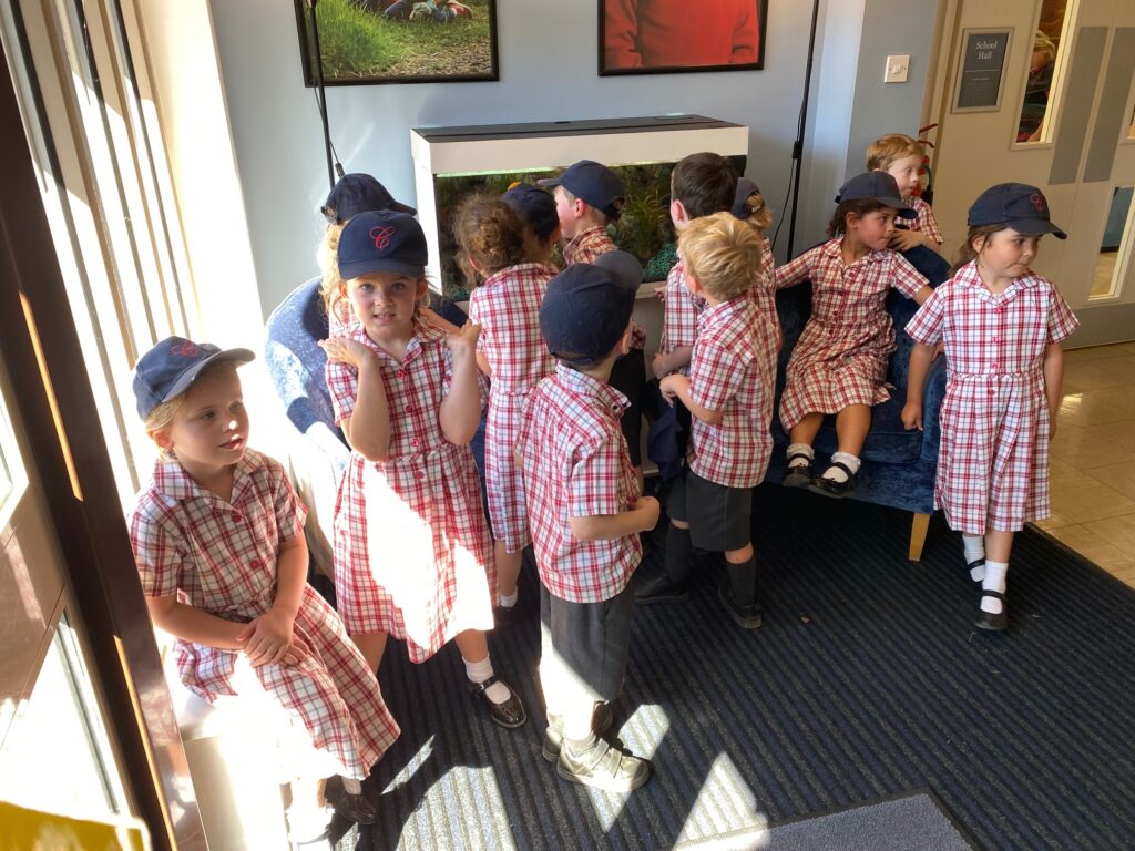 Scavenger Hunt Exploring the School Grounds, Copthill School