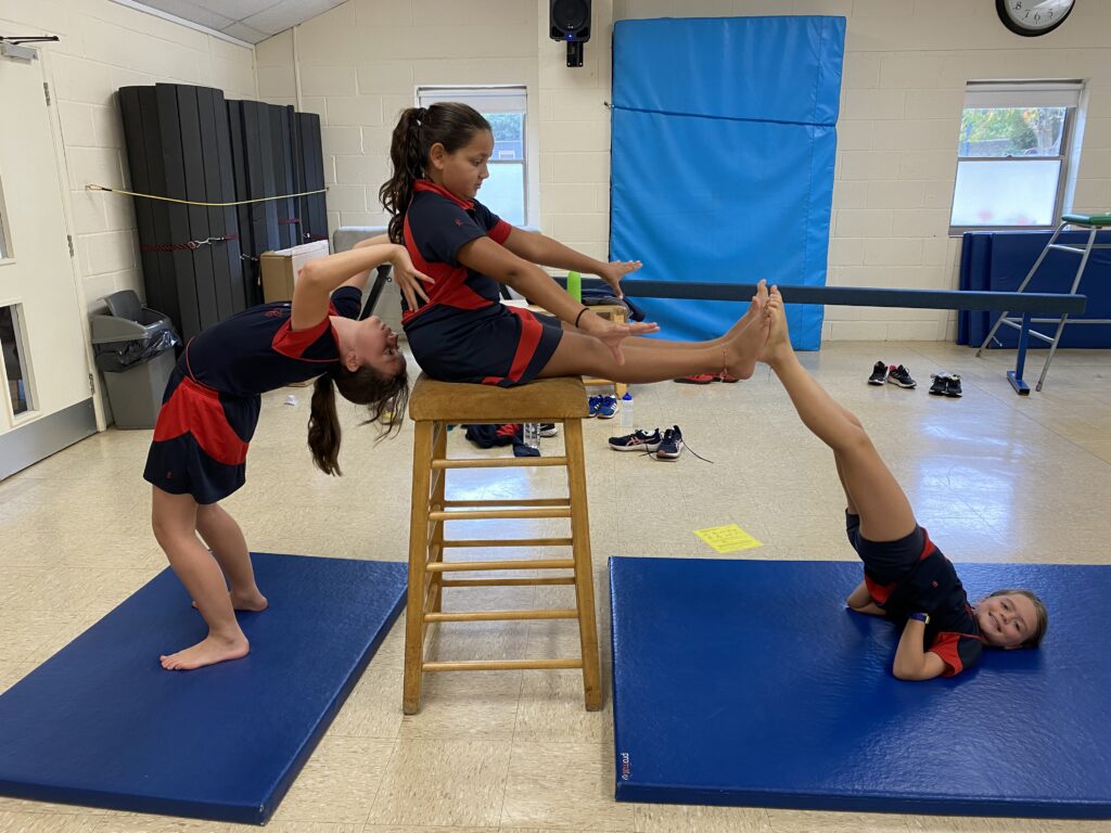 Yr6 pair balances, Copthill School