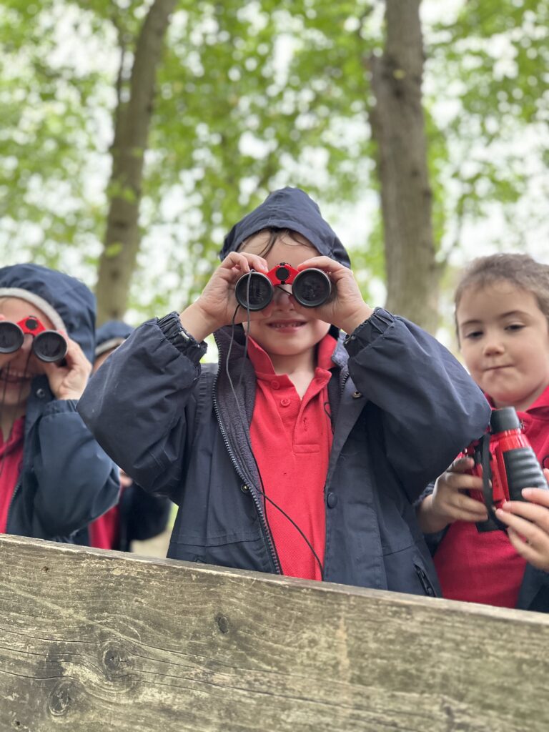 Bird Migration and Sweet Treats!, Copthill School