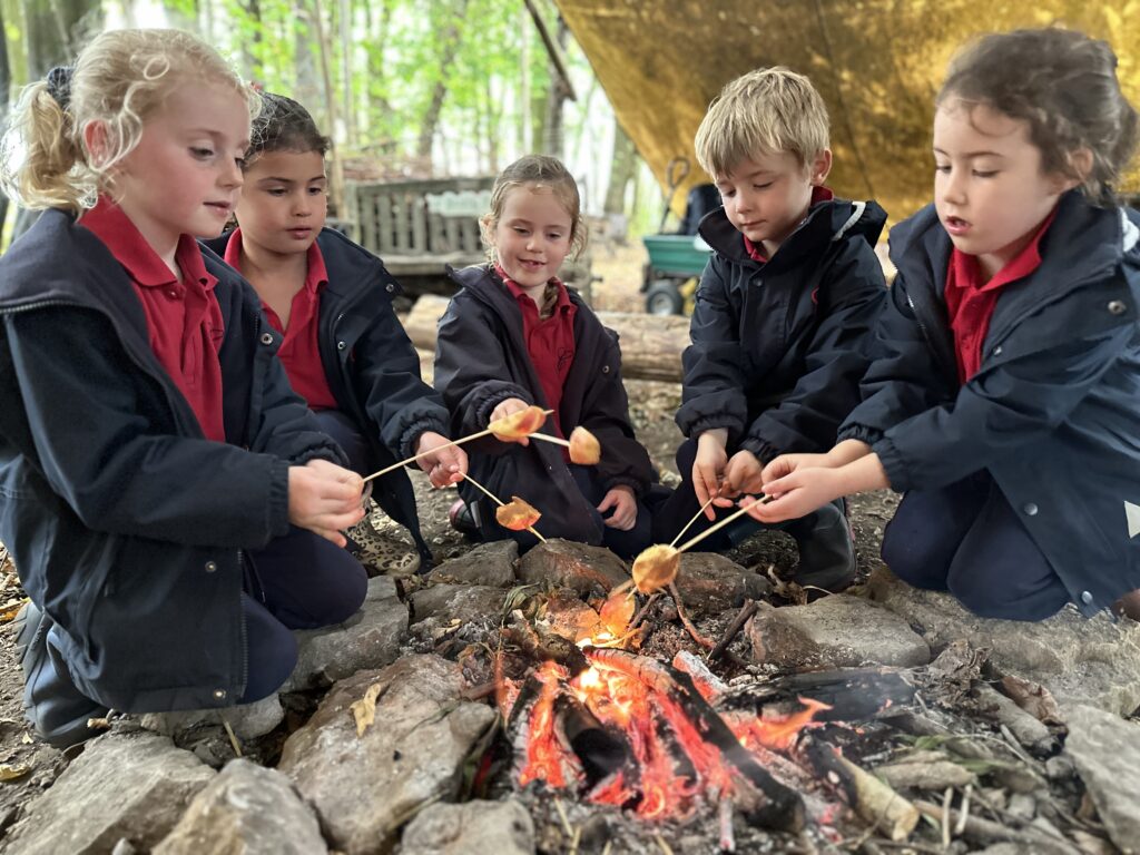 Bird Migration and Sweet Treats!, Copthill School