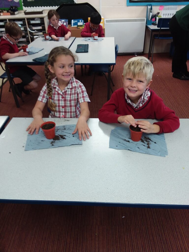 Growing cress, Copthill School