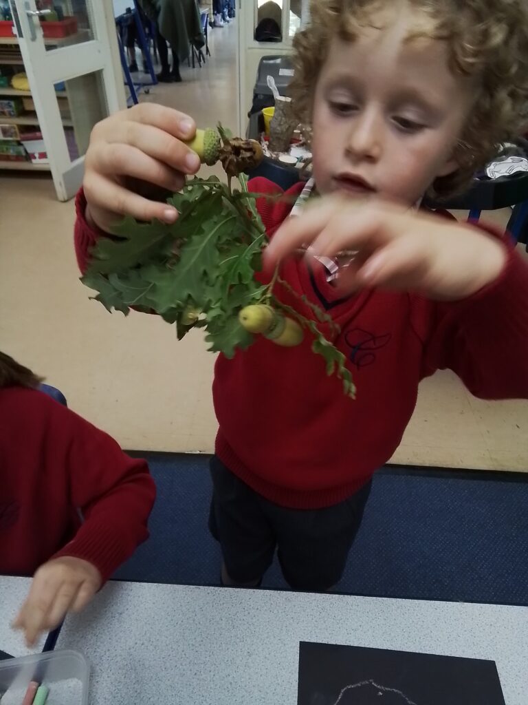 Open Morning, Copthill School