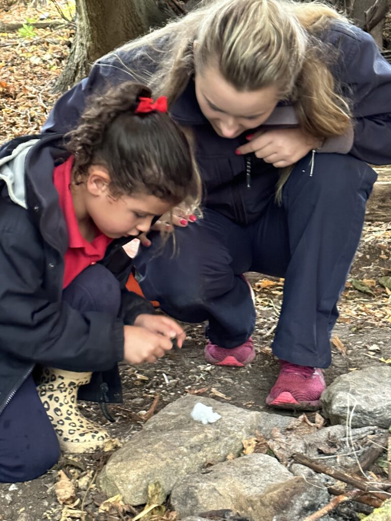 Bird Migration and Sweet Treats!, Copthill School