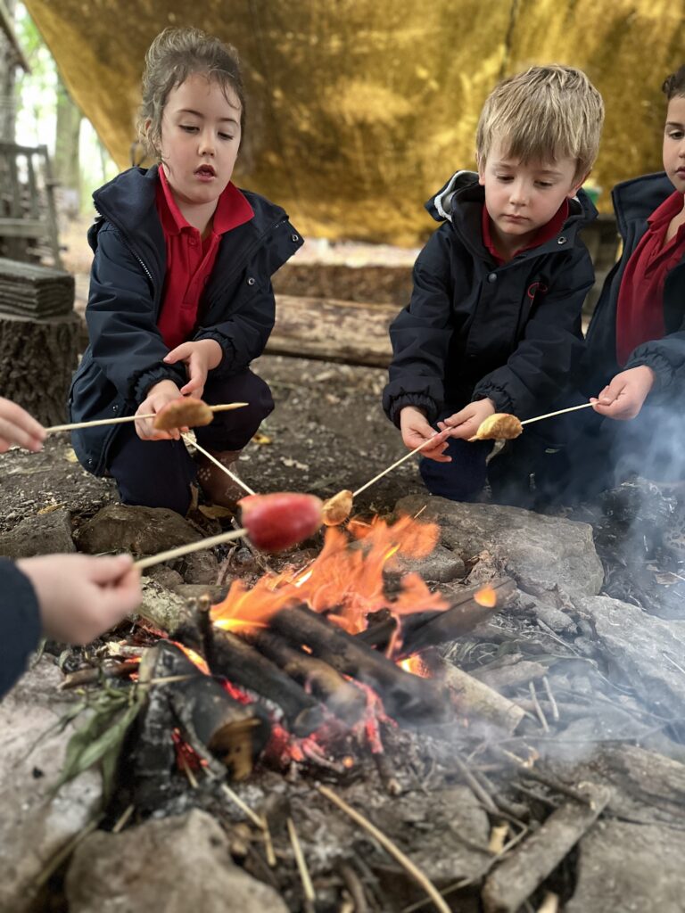 Bird Migration and Sweet Treats!, Copthill School