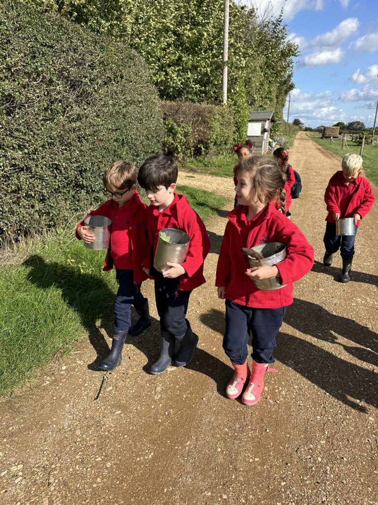 Natural art inspired by Richard Shilling, Copthill School