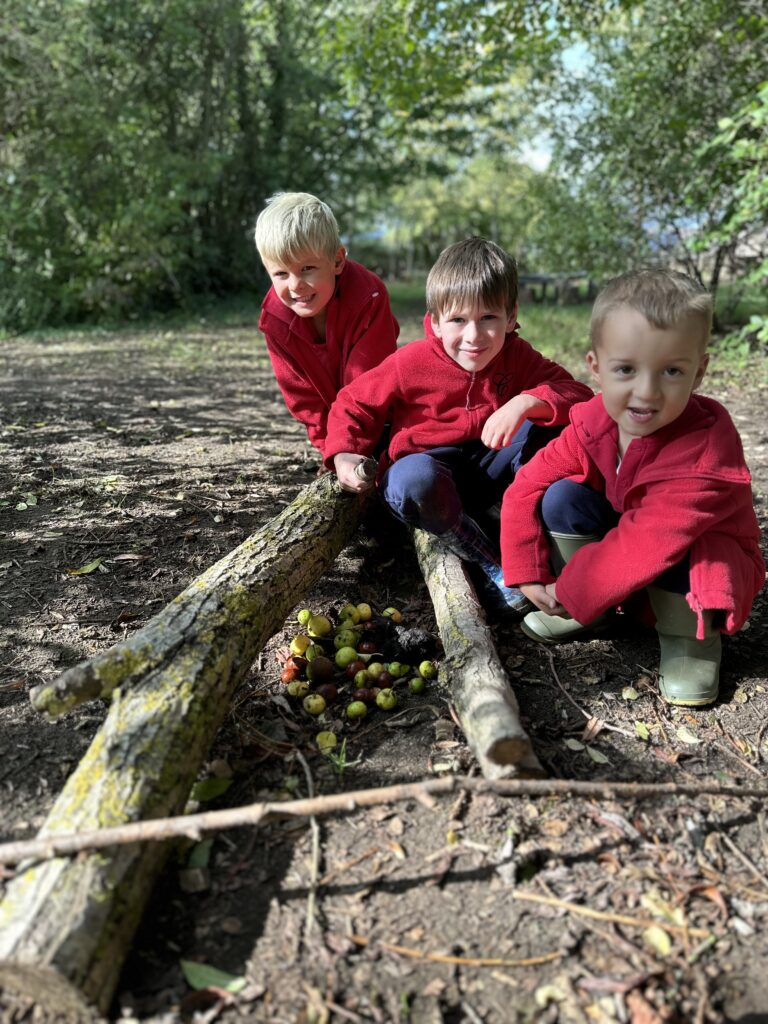 Natural art inspired by Richard Shilling, Copthill School