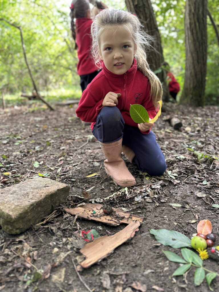 Natural art inspired by Richard Shilling, Copthill School