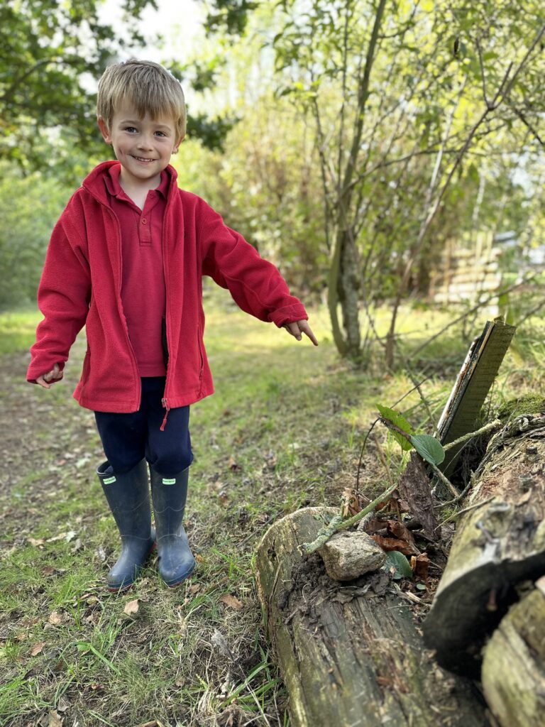 Natural art inspired by Richard Shilling, Copthill School