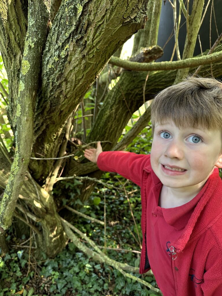 Natural art inspired by Richard Shilling, Copthill School