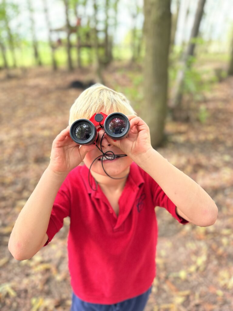 Bird Migration and Sweet Treats!, Copthill School