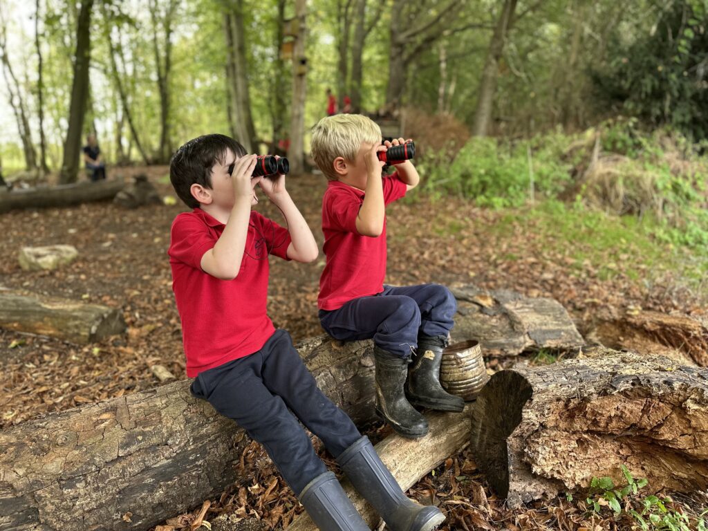 Bird Migration and Sweet Treats!, Copthill School