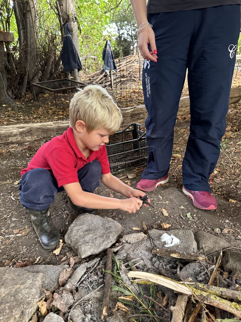 Bird Migration and Sweet Treats!, Copthill School