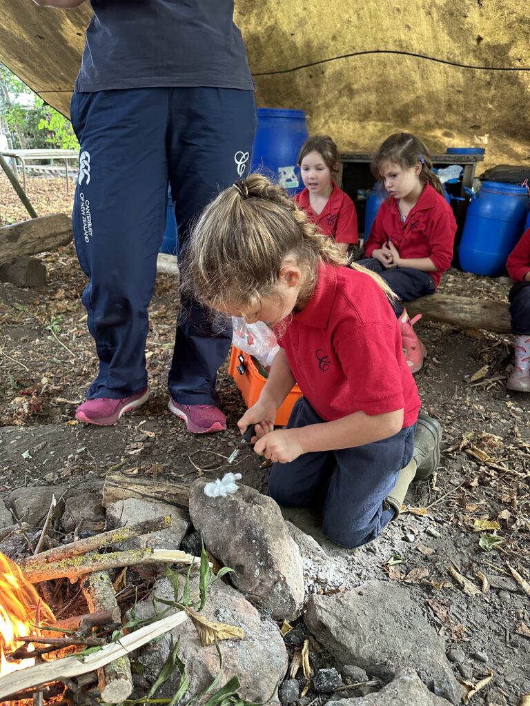 Bird Migration and Sweet Treats!, Copthill School