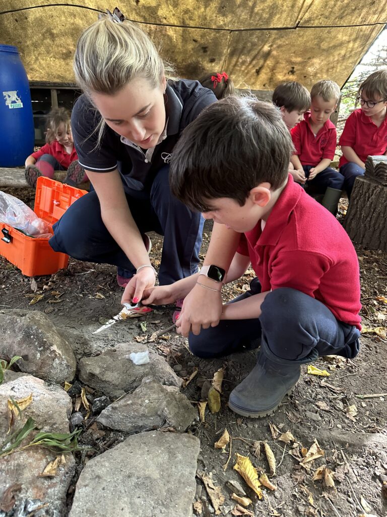 Bird Migration and Sweet Treats!, Copthill School