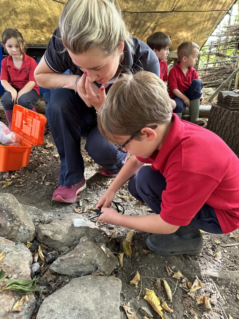 Bird Migration and Sweet Treats!, Copthill School