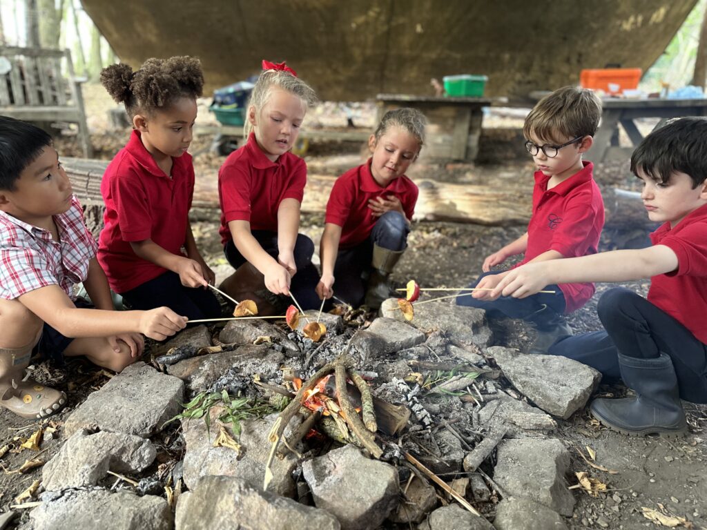 Bird Migration and Sweet Treats!, Copthill School