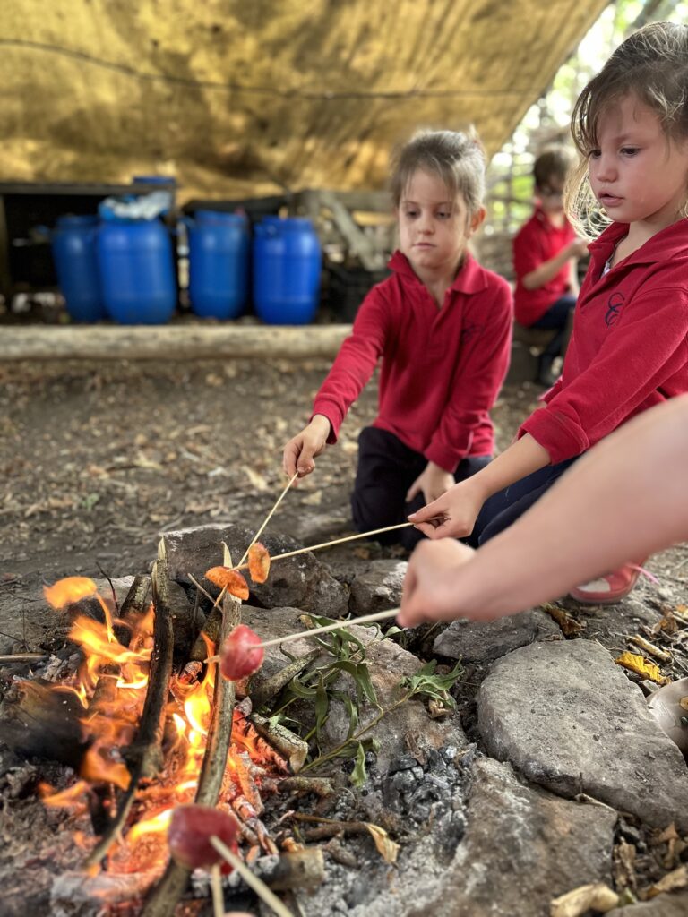 Bird Migration and Sweet Treats!, Copthill School