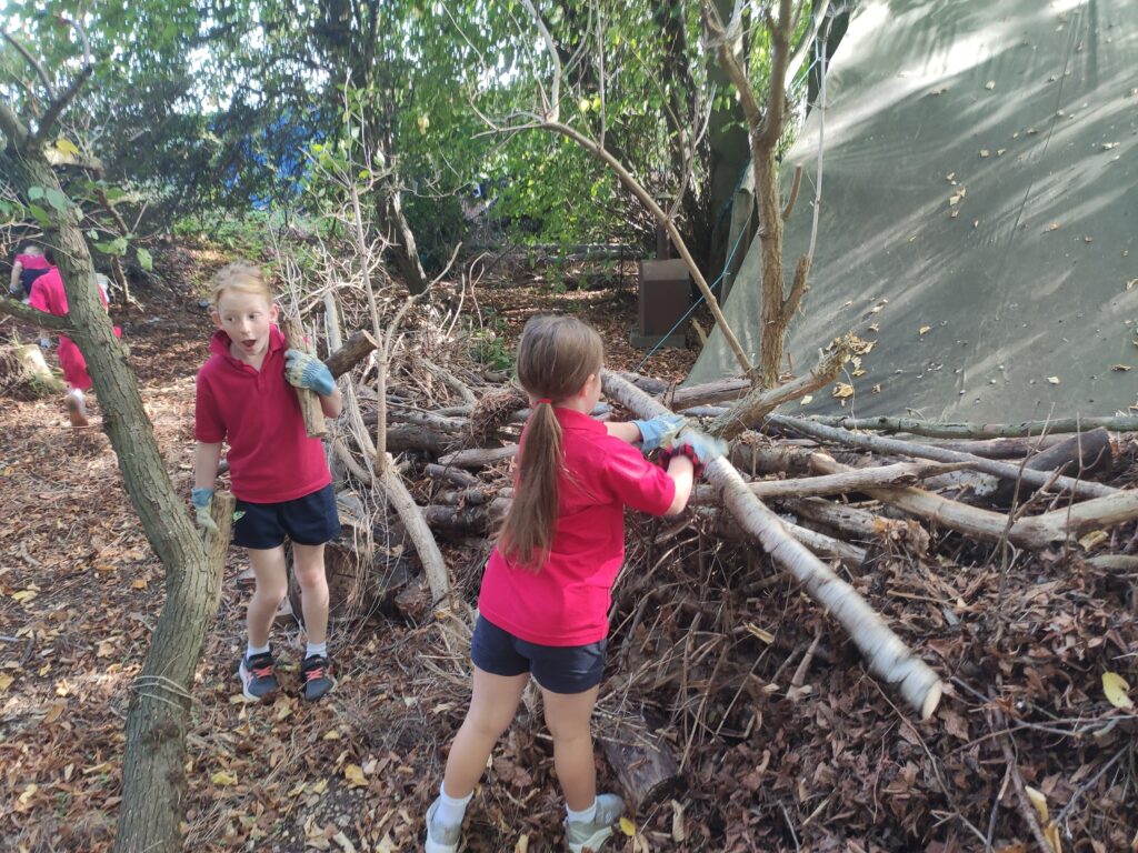 Final week and Harvest!, Copthill School