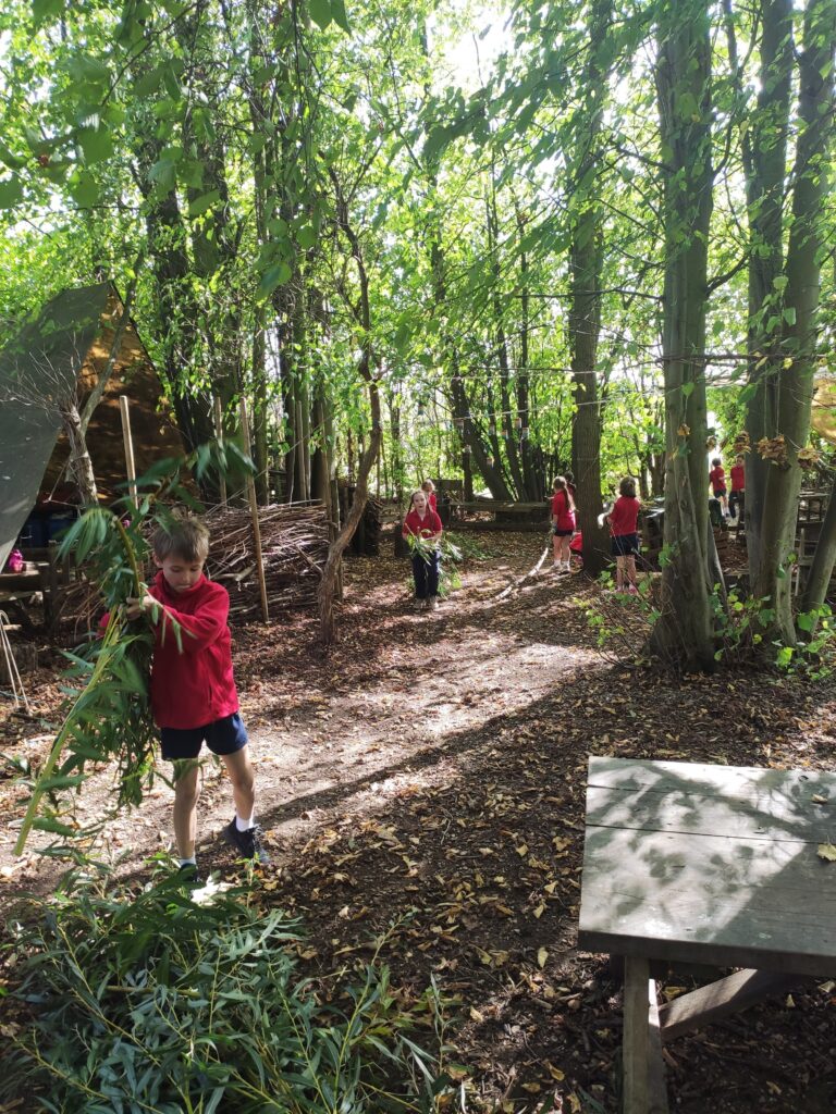 Final week and Harvest!, Copthill School