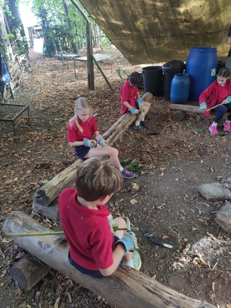 Final week and Harvest!, Copthill School