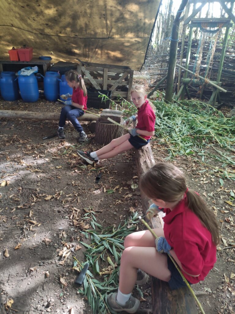 Final week and Harvest!, Copthill School