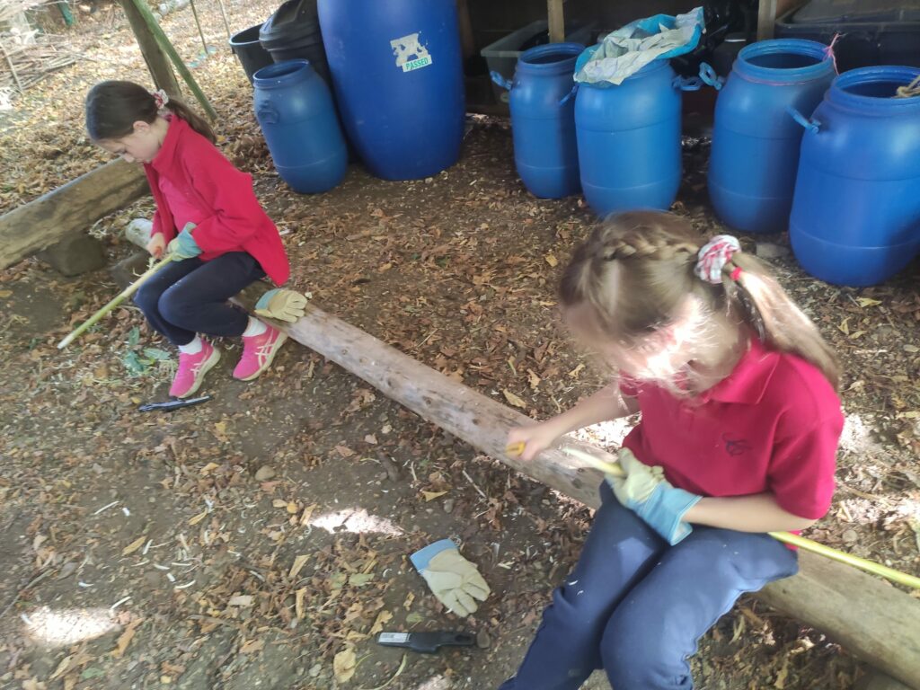 Final week and Harvest!, Copthill School