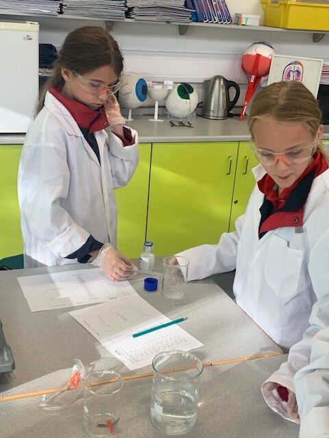 Year 5 scientists investigating, Copthill School