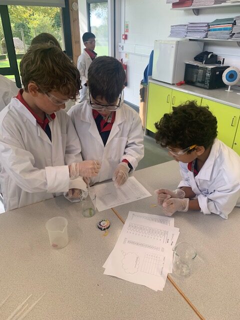 Year 5 scientists investigating, Copthill School