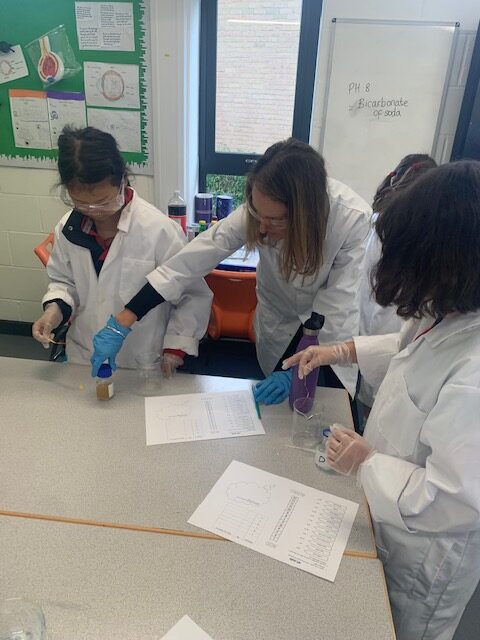 Year 5 scientists investigating, Copthill School