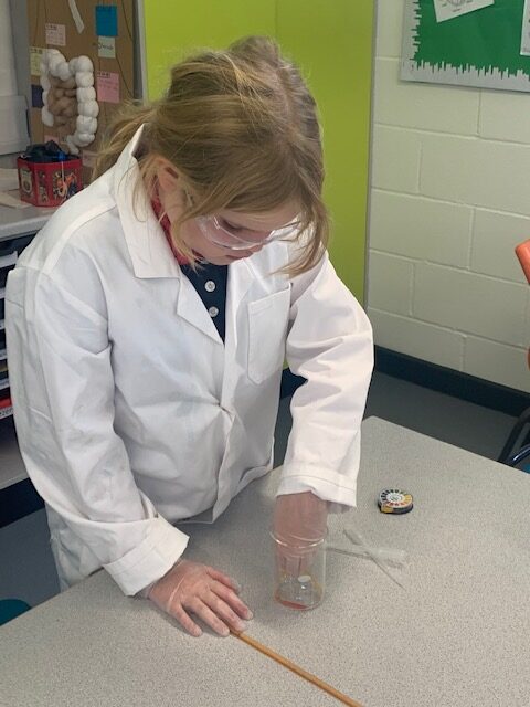 Year 5 scientists investigating, Copthill School