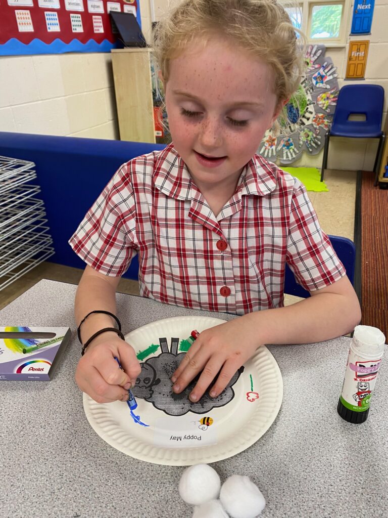 Cress growing sheep!, Copthill School