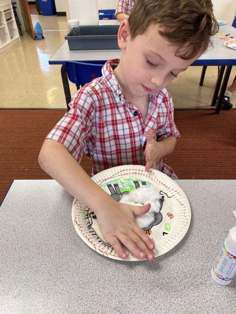 Cress growing sheep!, Copthill School