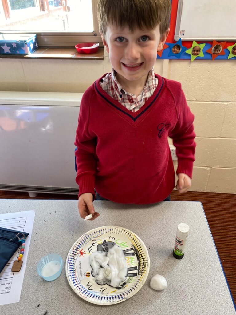 Cress growing sheep!, Copthill School