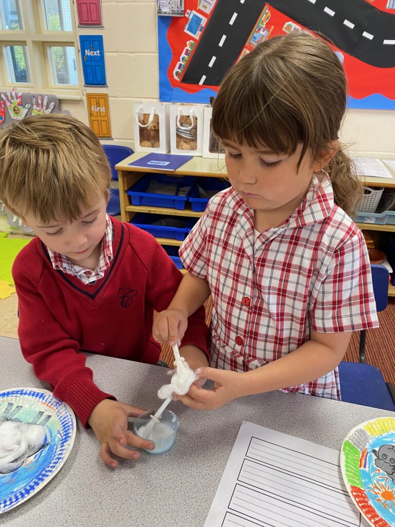 Cress growing sheep!, Copthill School