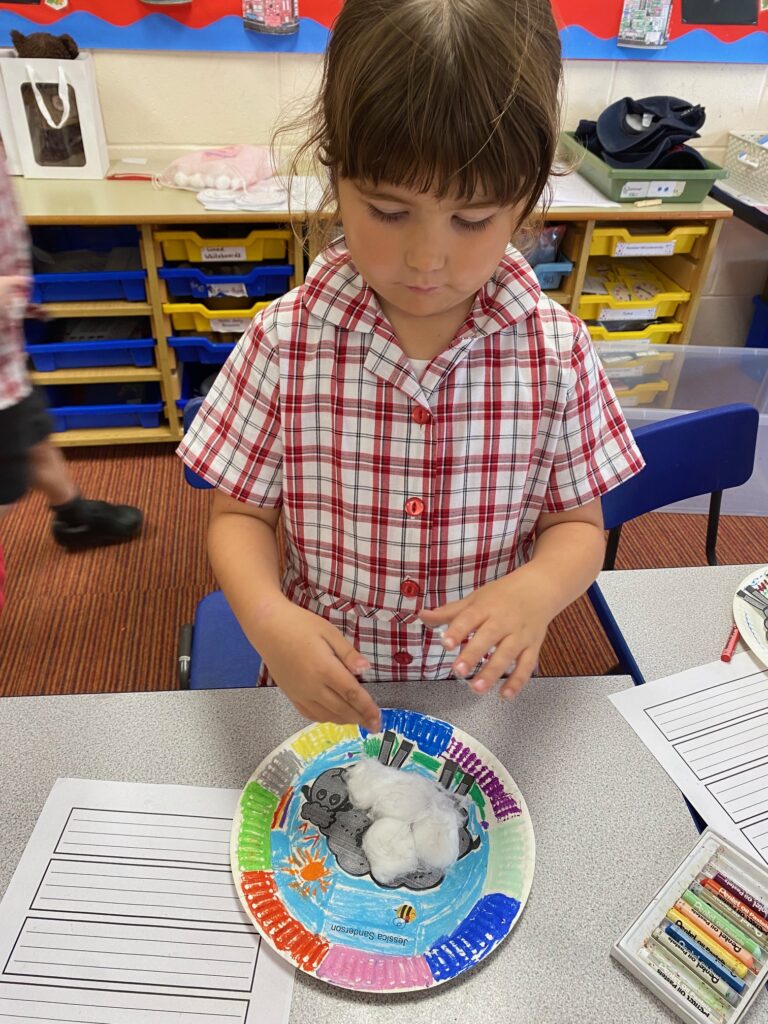 Cress growing sheep!, Copthill School