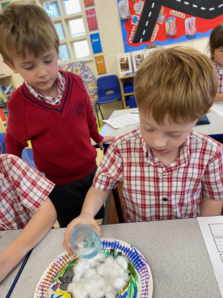 Cress growing sheep!, Copthill School