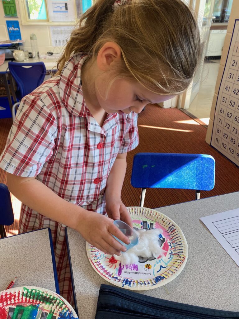 Cress growing sheep!, Copthill School