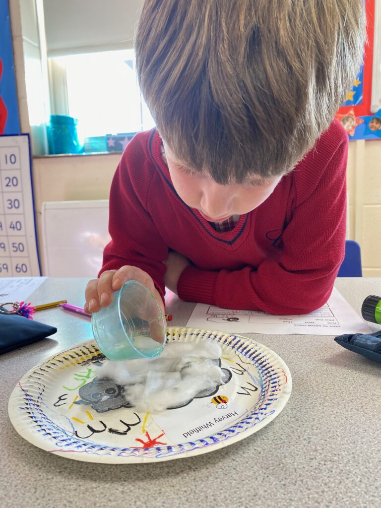 Cress growing sheep!, Copthill School