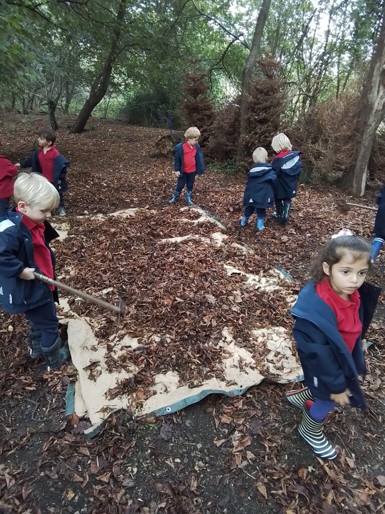 Minibeast Rescue!, Copthill School