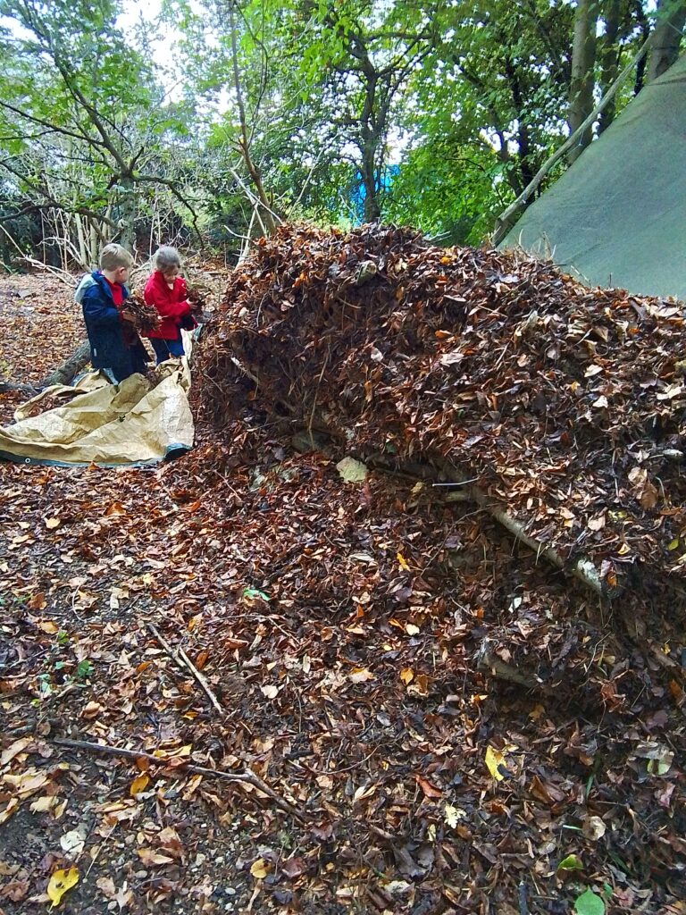 Minibeast Rescue!, Copthill School